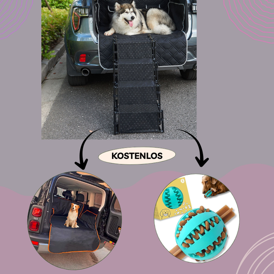 Pilathi® Hundetreppe für große & kleine Hunde – Bis zu 40 kg, Universelle Verwendung im Auto