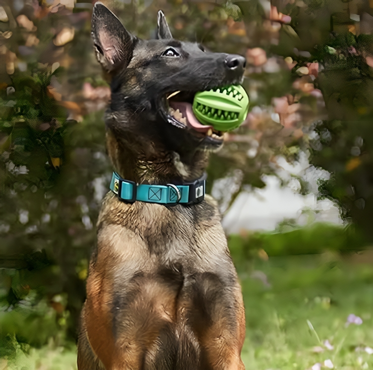 Pilathi® Interaktives Hundespielzeug für Welpen & große Hunde – Spielball für kleine & große Haustiere,