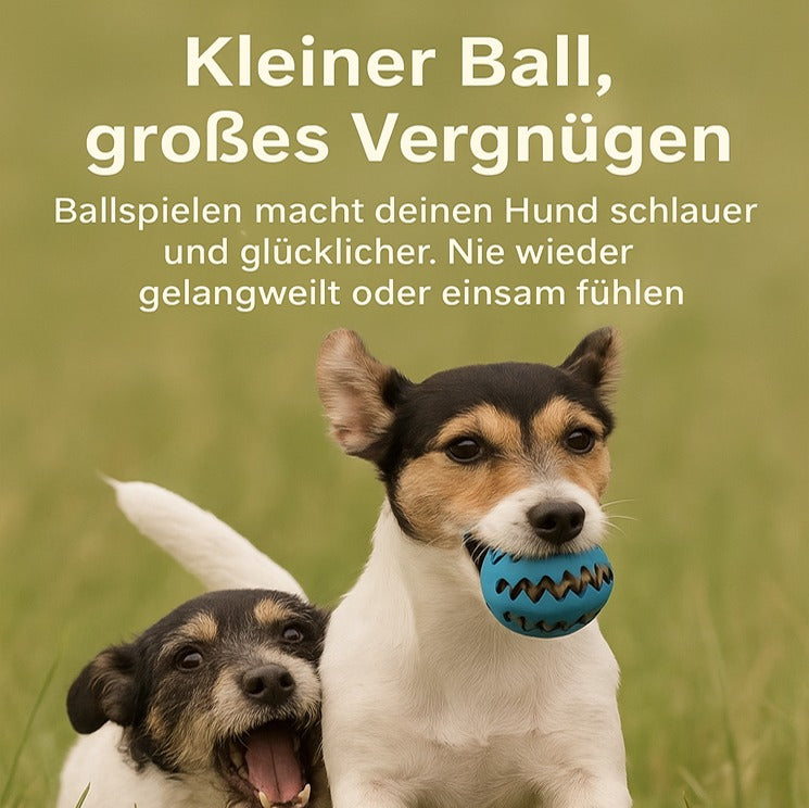 Pilathi® Interaktives Hundespielzeug für Welpen & große Hunde – Spielball für kleine & große Haustiere,