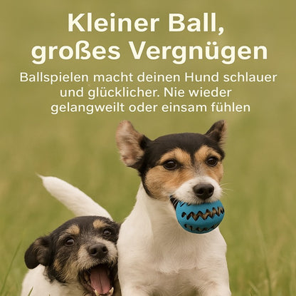 Pilathi® Interaktives Hundespielzeug für Welpen & große Hunde – Spielball für kleine & große Haustiere,