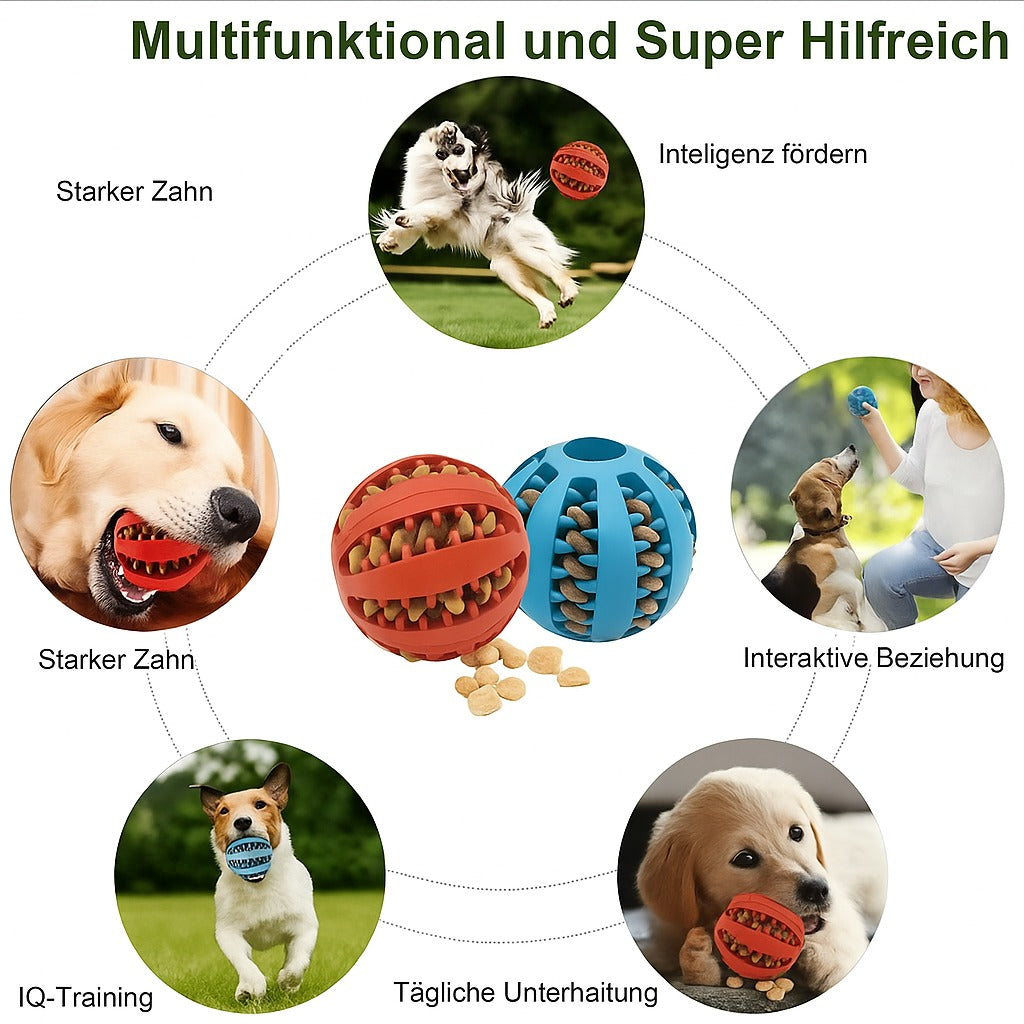 Pilathi® Interaktives Hundespielzeug für Welpen & große Hunde – Spielball für kleine & große Haustiere,