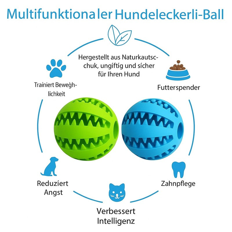 Pilathi® Interaktives Hundespielzeug für Welpen & große Hunde – Spielball für kleine & große Haustiere,