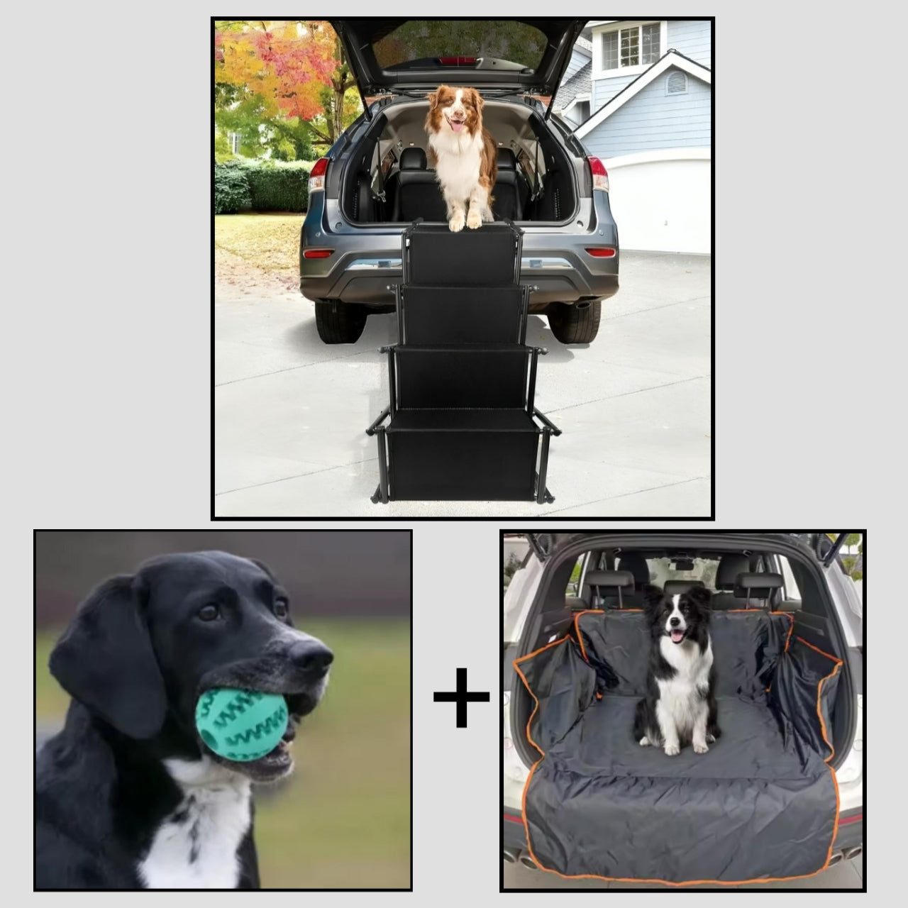 Pilathi® Hundetreppe für große & kleine Hunde – Bis zu 40 kg, Universelle Verwendung im Auto